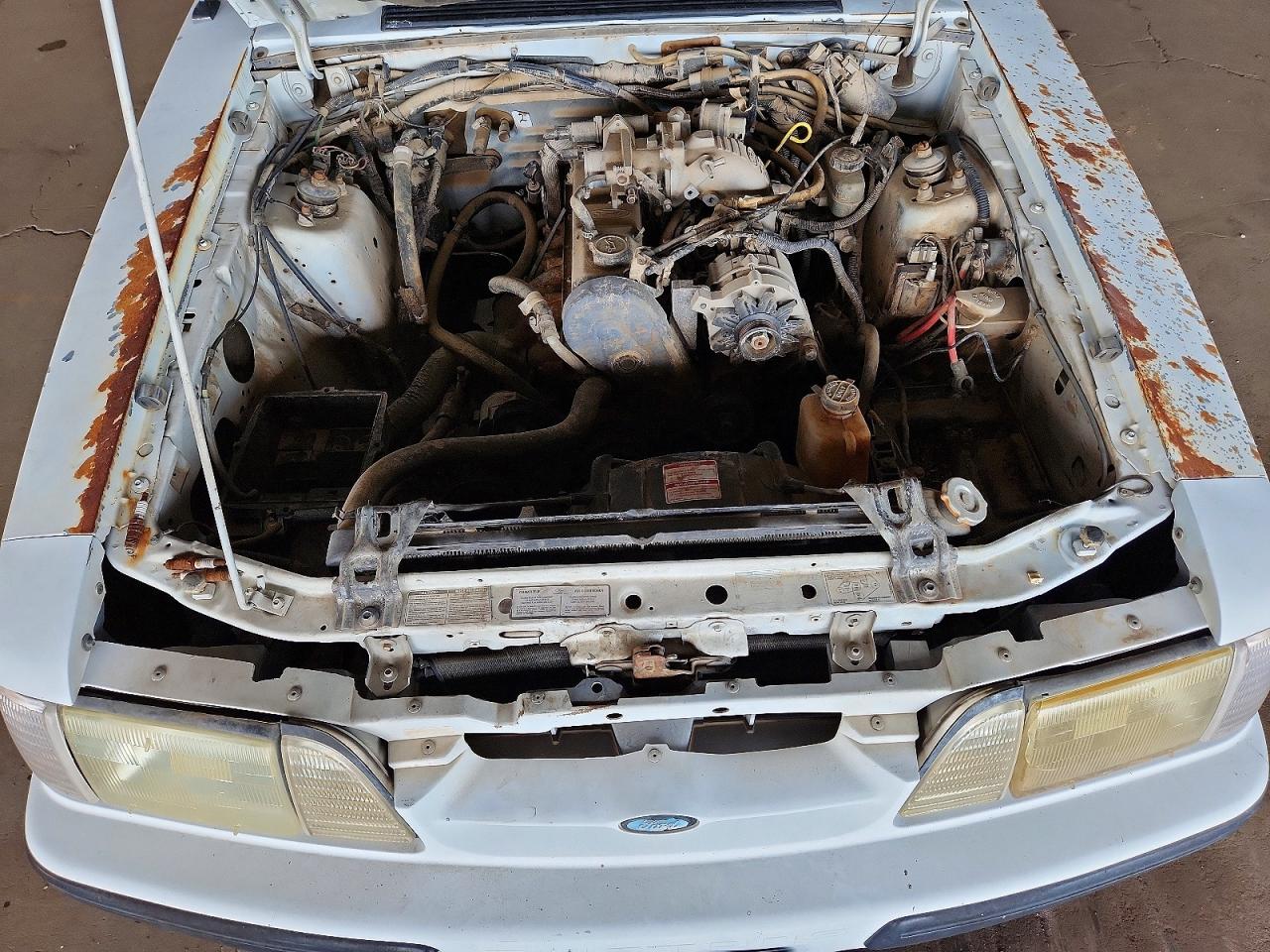 1989 Ford Mustang White vin: 1FABP41A3KF223951
