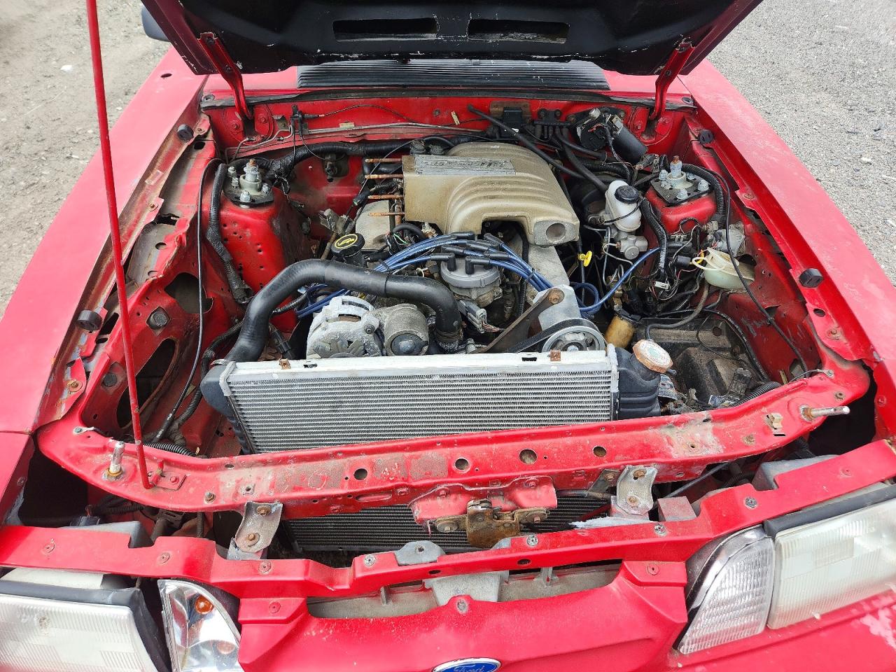 1989 Ford Mustang Lx Red vin: 1FABP41E6KF108604