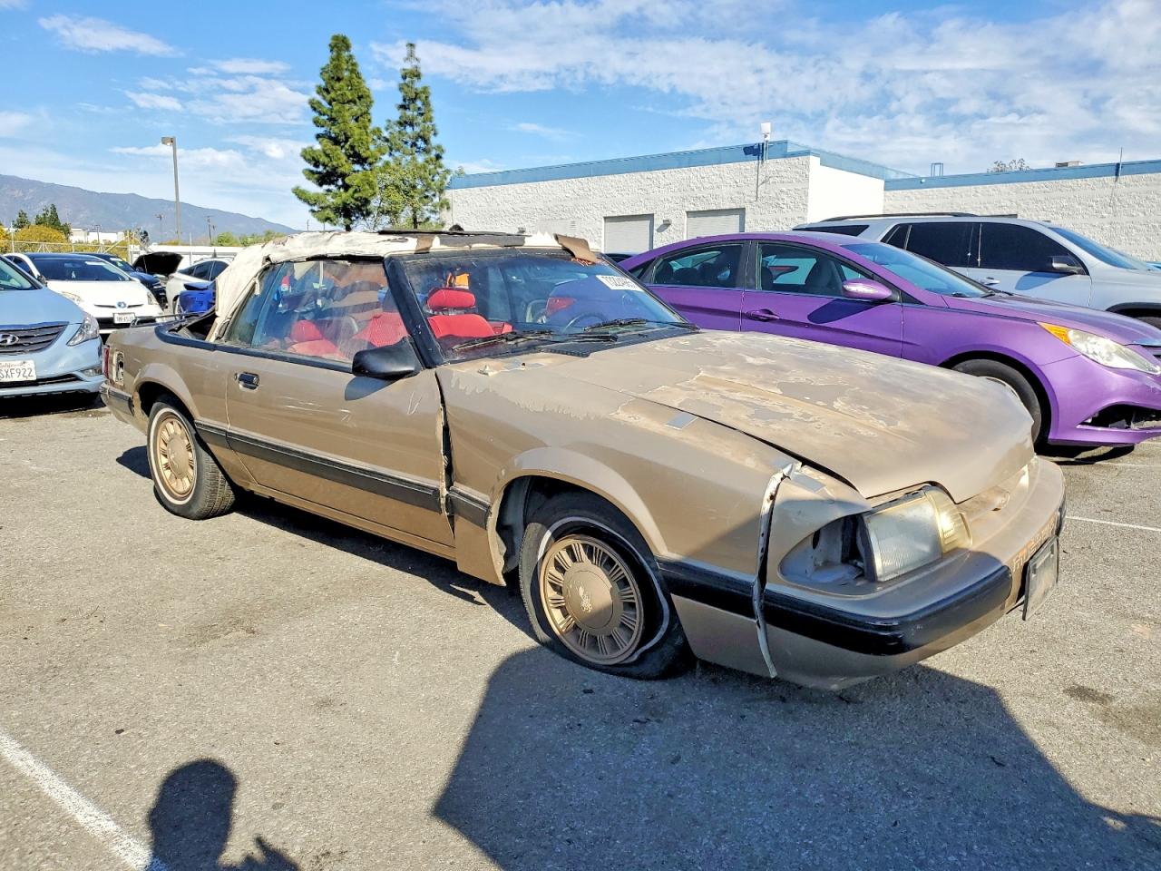 1987 Ford Mustang Lx Желто-коричневый vin: 1FABP44A0HF226360