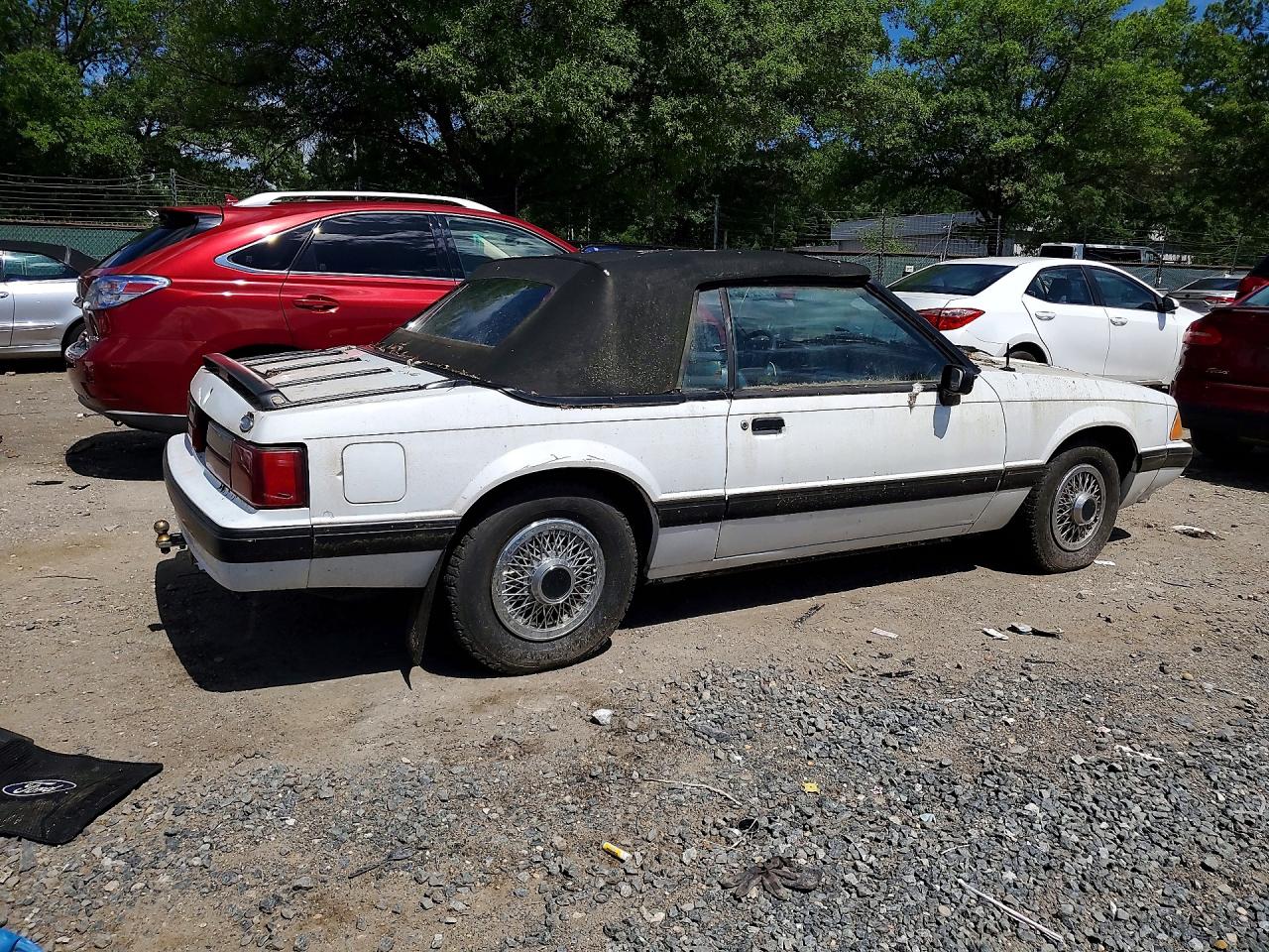 1989 Ford Mustang Lx White vin: 1FABP44A8KF206302