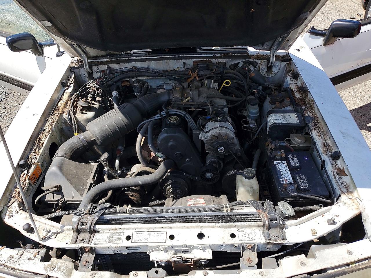 1989 Ford Mustang Lx White vin: 1FABP44A8KF206302