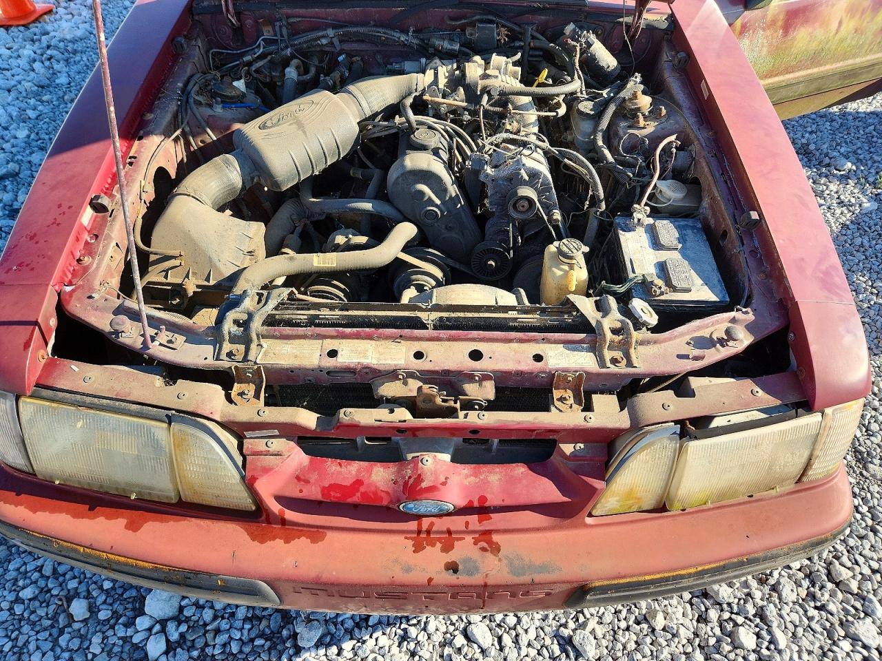 1988 Ford Mustang Lx Red vin: 1FABP44AXJF168487