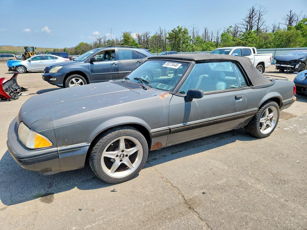 1989 Ford Mustang Lx Gray vin: 1FABP44AXKF142442