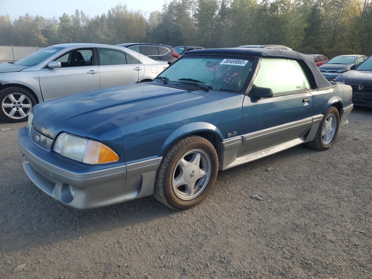 1FABP45E9HF197961