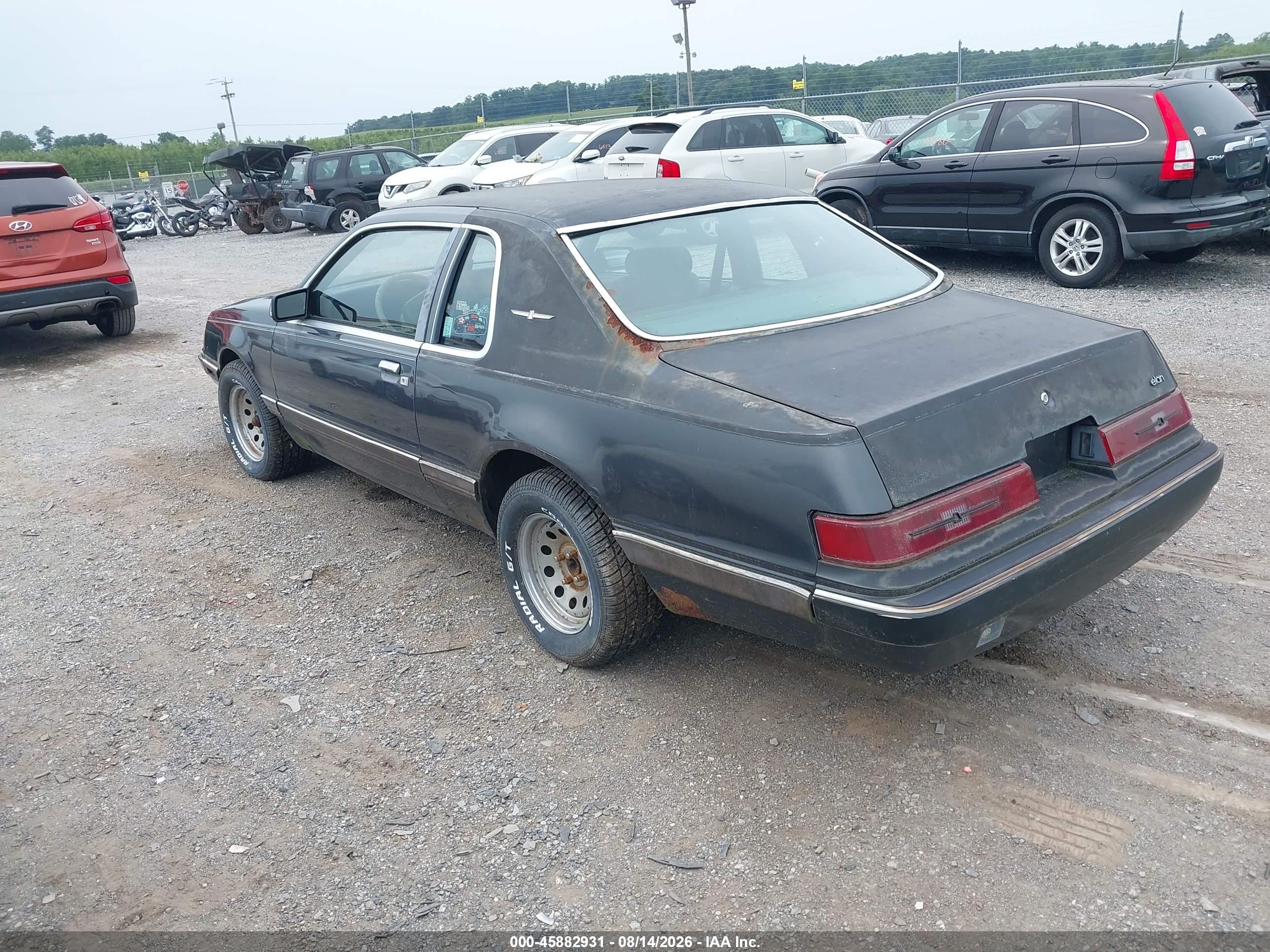 1984 Ford Thunderbird   Black vin: 1FABP4634EH231737