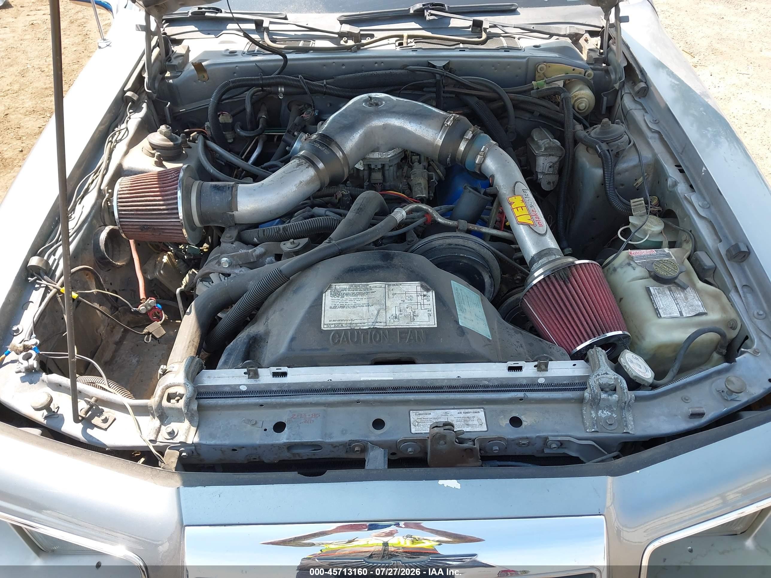 1985 Ford Thunderbird   Gray vin: 1FABP4635FH151560
