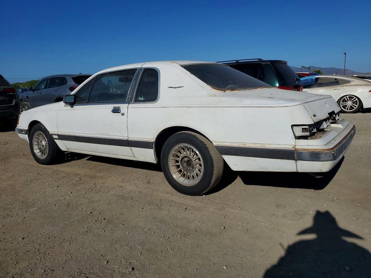 1985 Ford Thunderbird White vin: 1FABP46F9FH191568