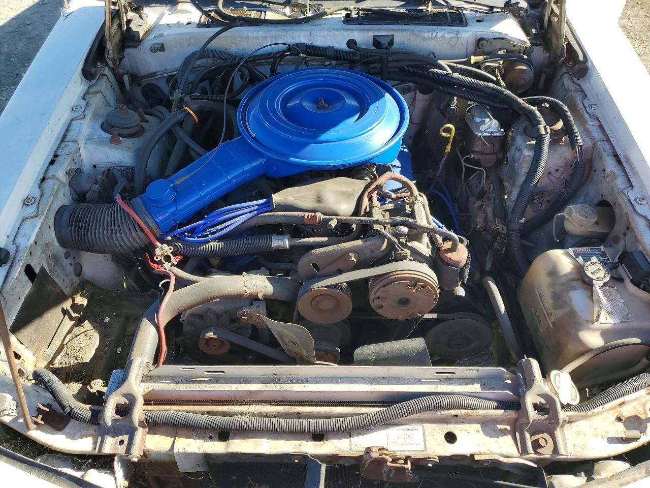 1985 Ford Thunderbird White vin: 1FABP46F9FH191568