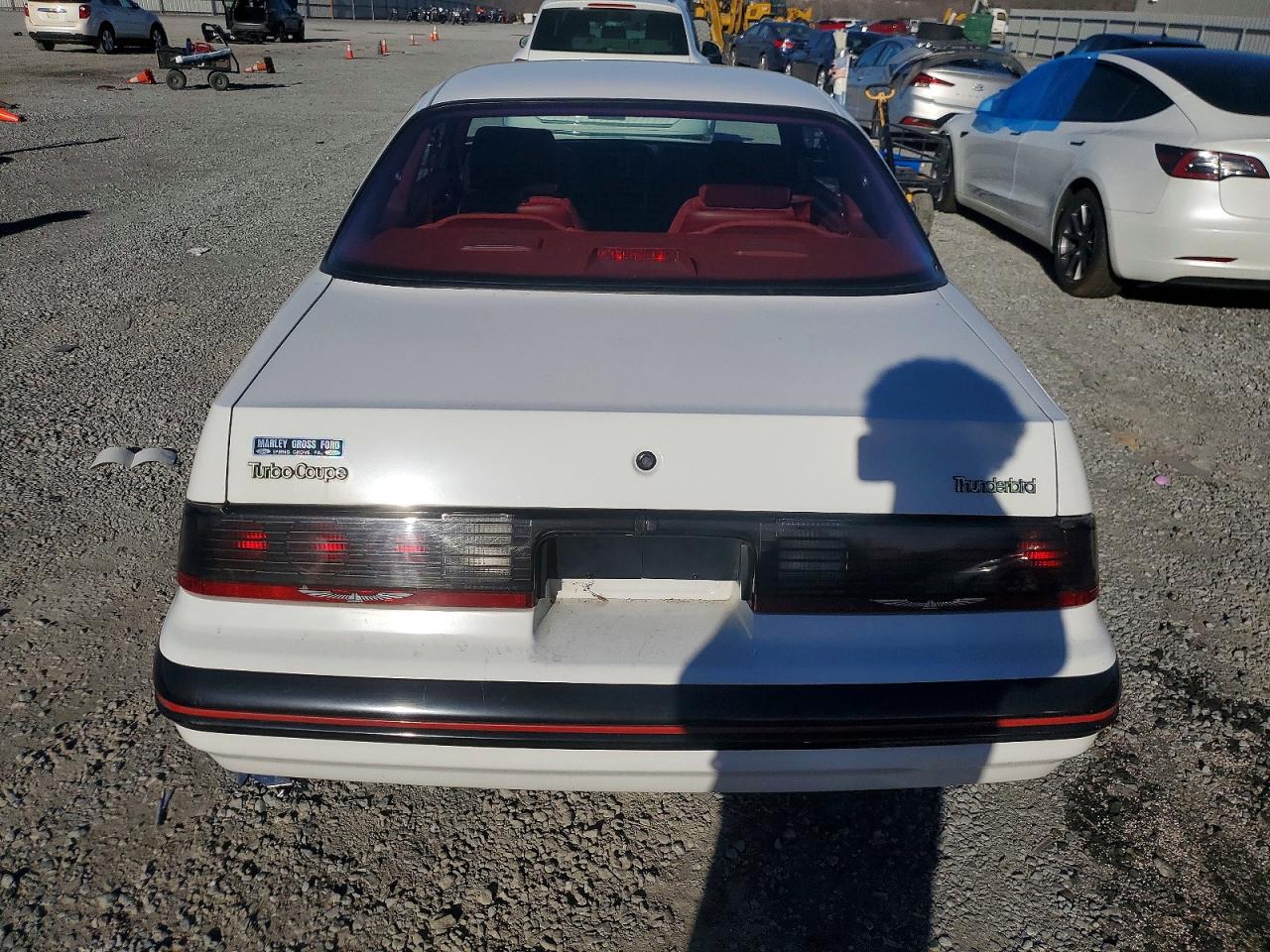 1988 Ford Thunderbird White vin: 1FABP64T4JH207477
