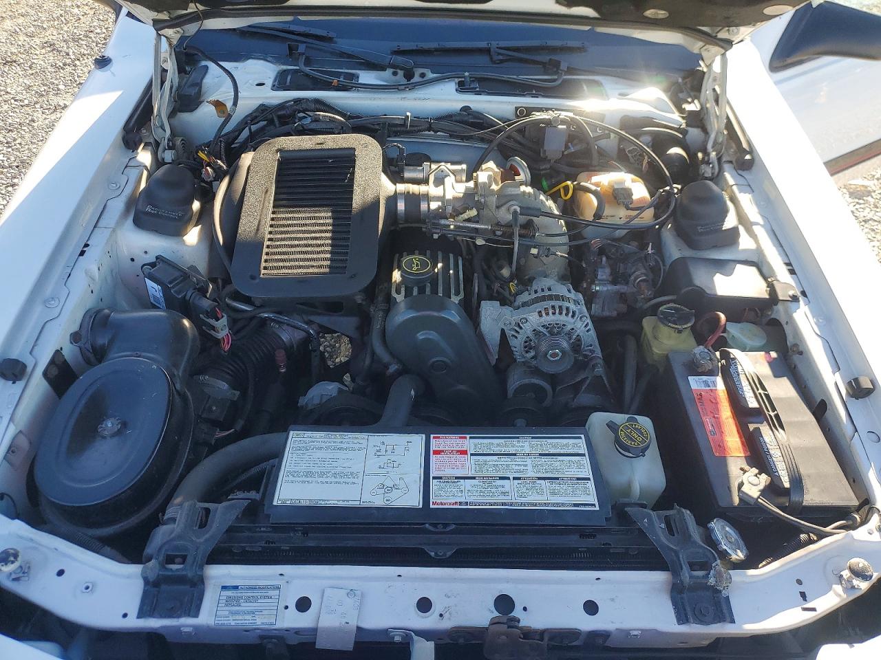 1988 Ford Thunderbird White vin: 1FABP64T4JH207477