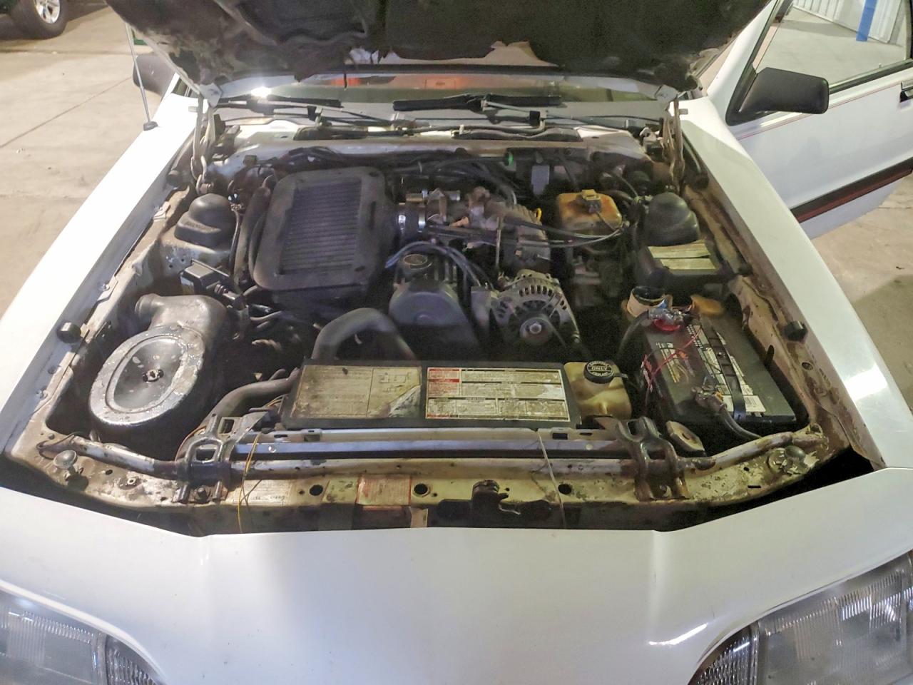 1988 Ford Thunderbird White vin: 1FABP64T6JH107459