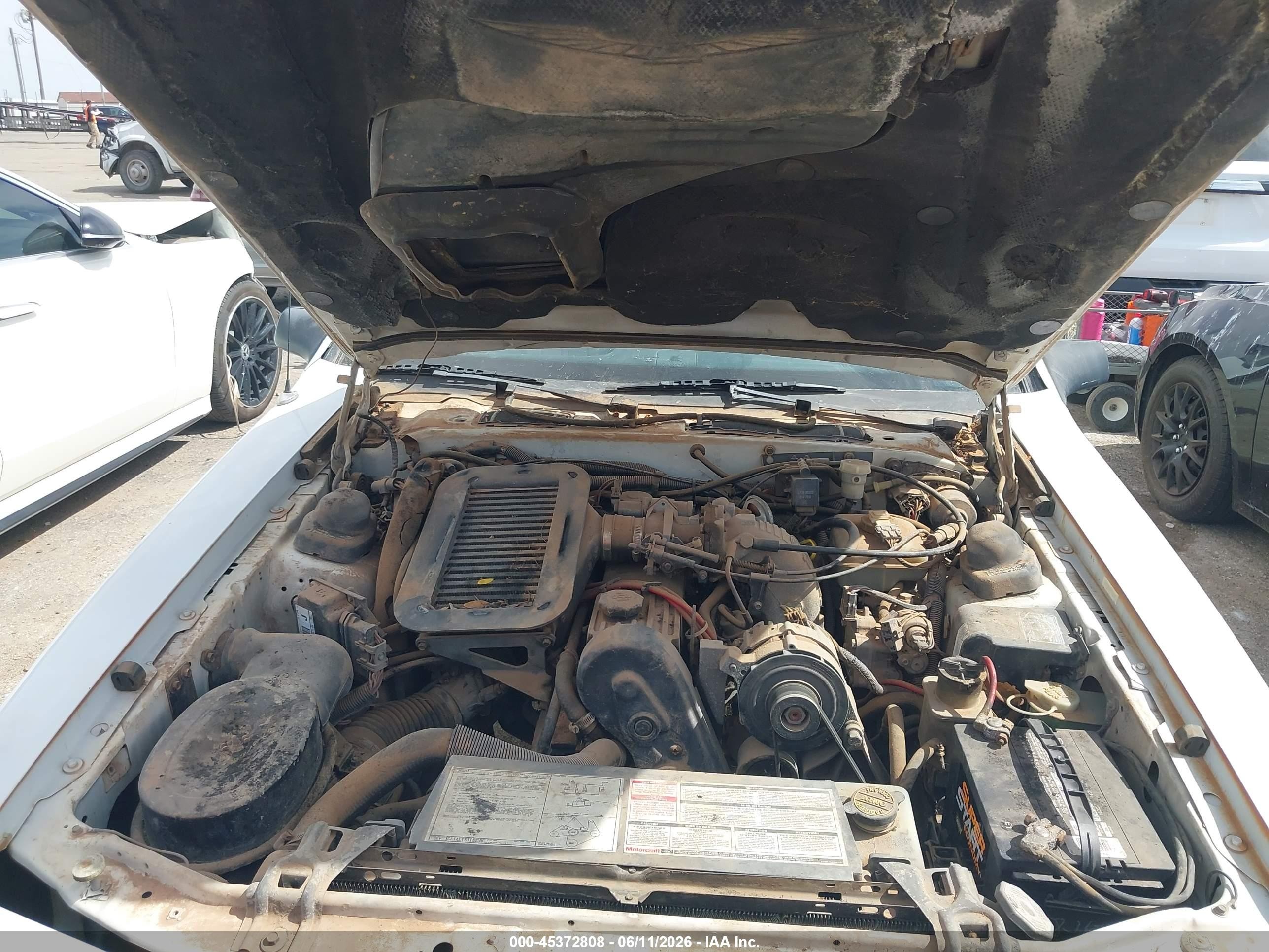 1987 Ford Thunderbird   White vin: 1FABP64W4HH195948