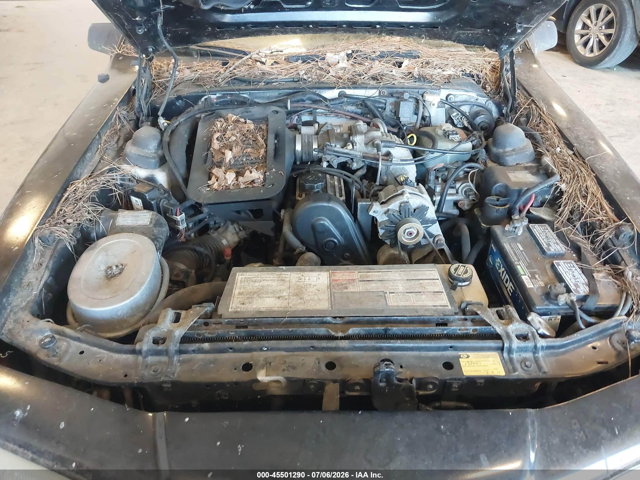 1987 Ford Thunderbird   Black vin: 1FABP64W5HH221537