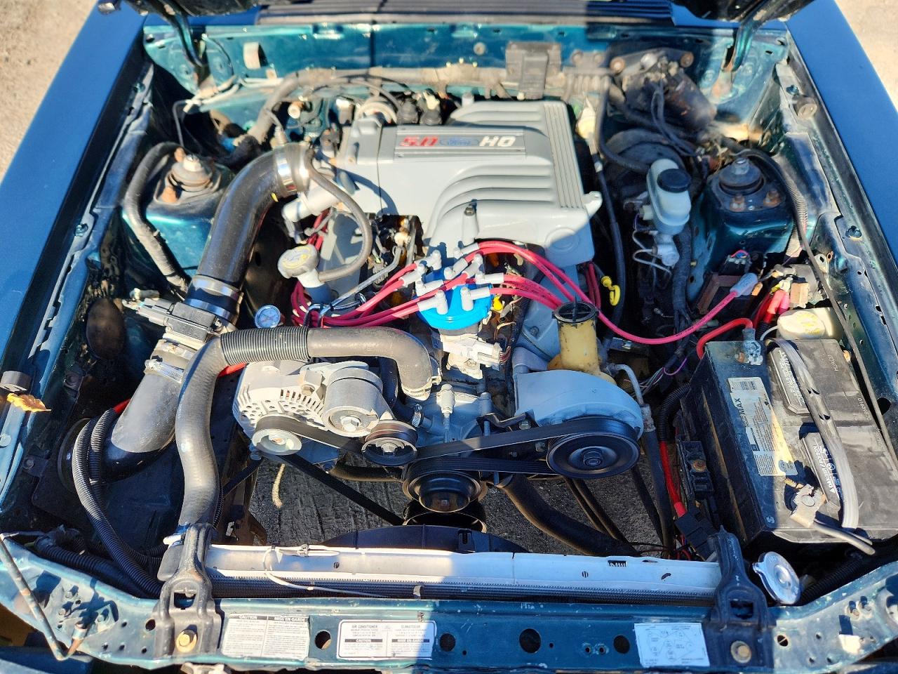 1992 Ford Mustang Lx Green vin: 1FACP41E1NF142247