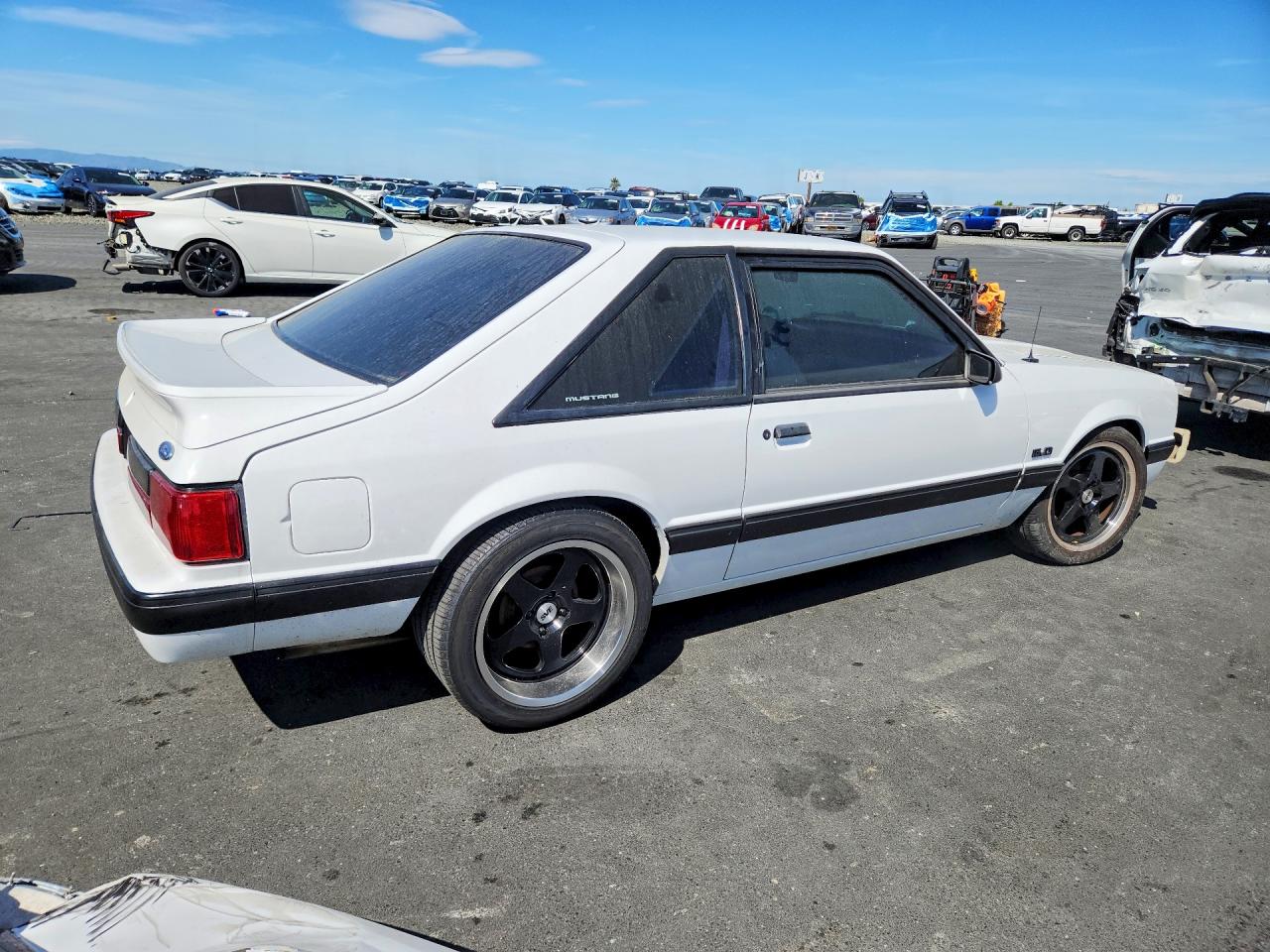 1991 Ford Mustang Lx White vin: 1FACP41E6MF112255