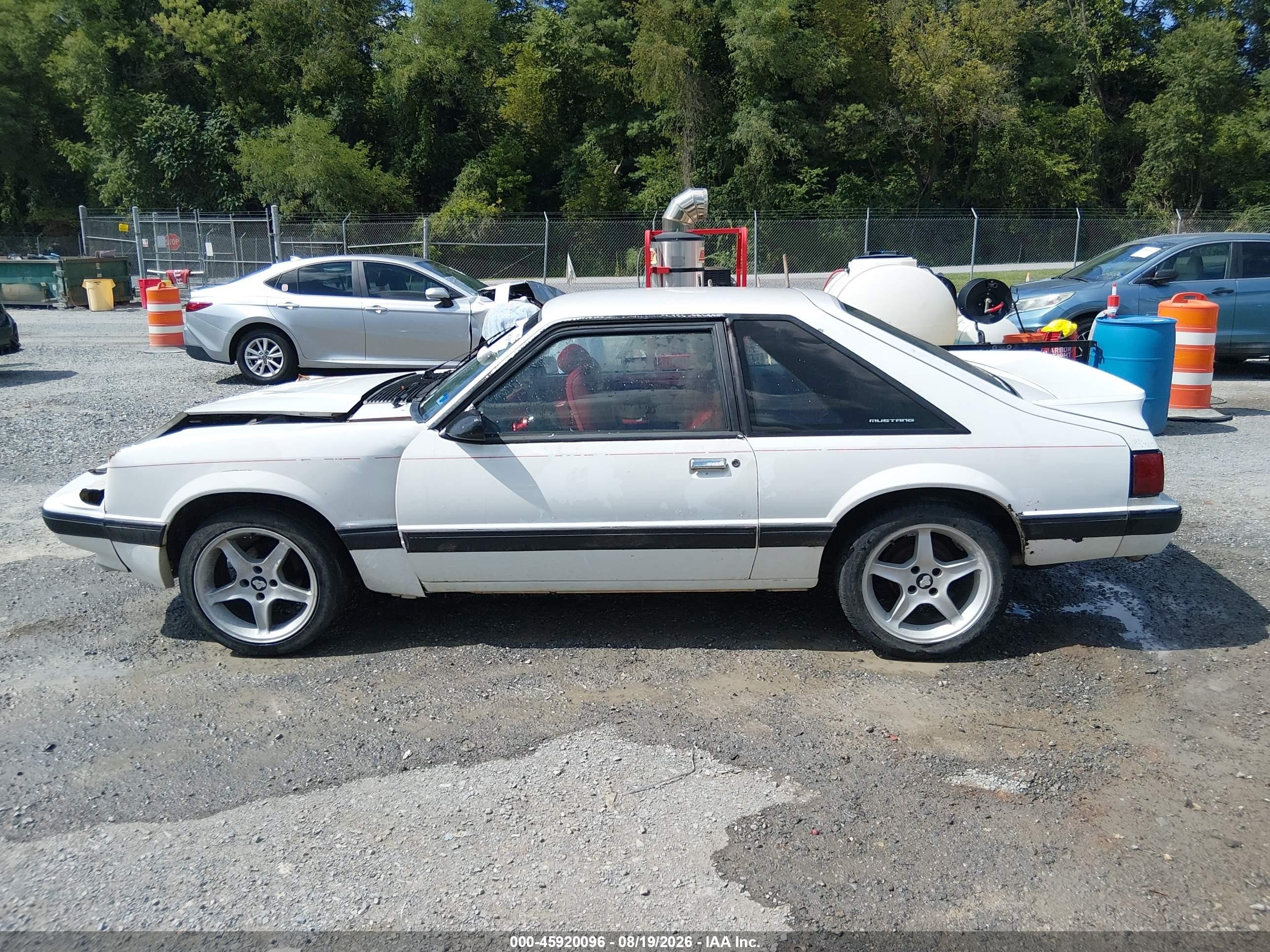1991 Ford Mustang Lx White vin: 1FACP41M1MF176971