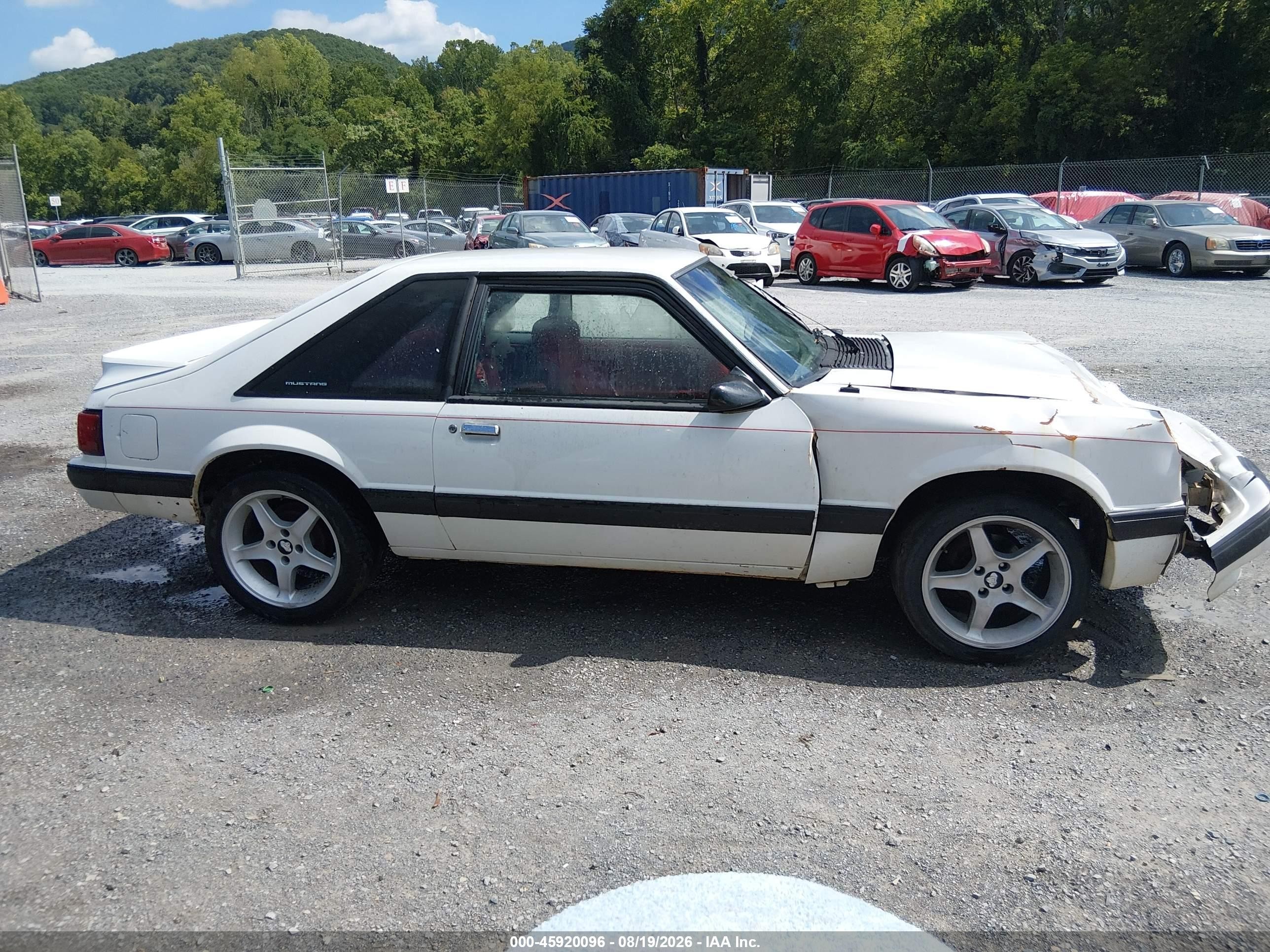 1991 Ford Mustang Lx White vin: 1FACP41M1MF176971