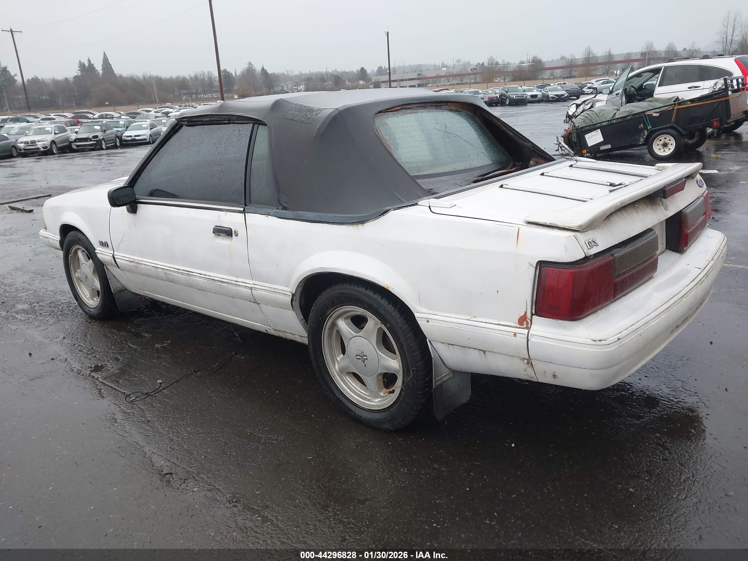1991 Ford Mustang Lx White vin: 1FACP44EXMF184166