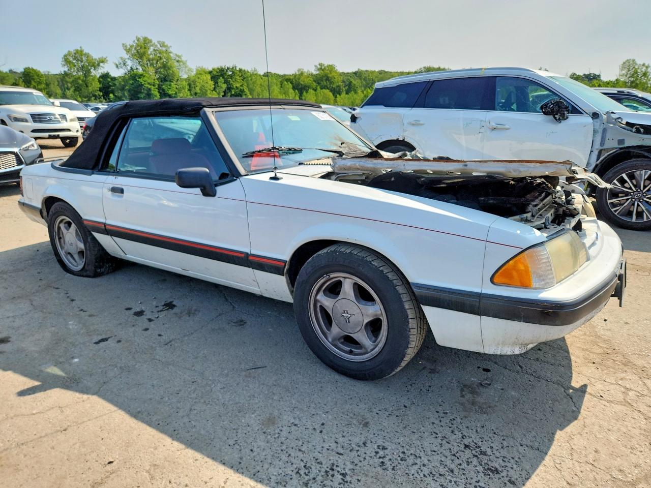1991 Ford Mustang Lx White vin: 1FACP44M3MF162422