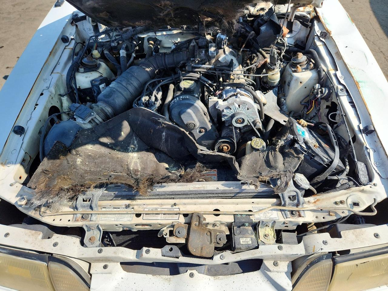 1991 Ford Mustang Lx White vin: 1FACP44M3MF162422