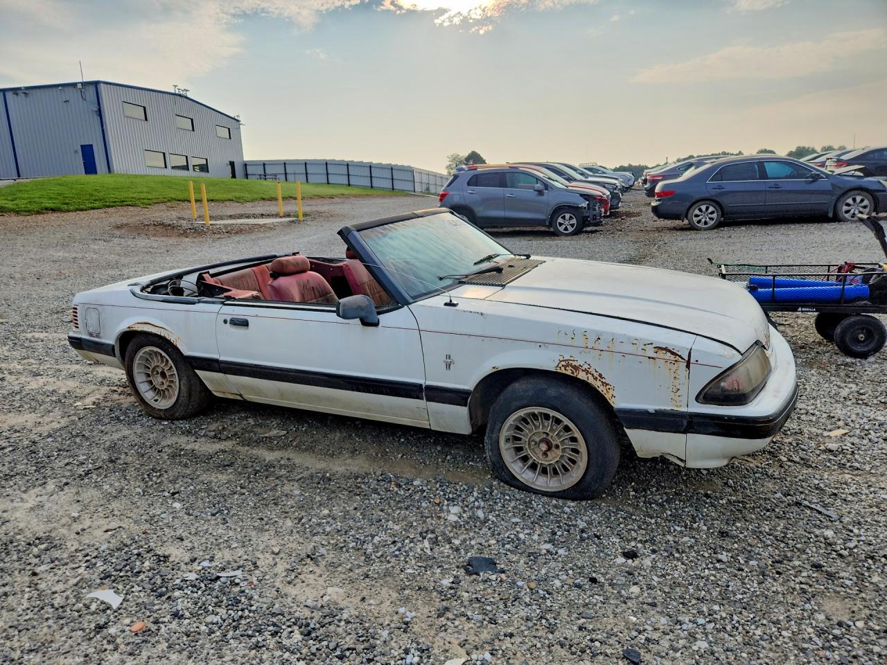 1991 Ford Mustang Lx White vin: 1FACP44M7MF170197
