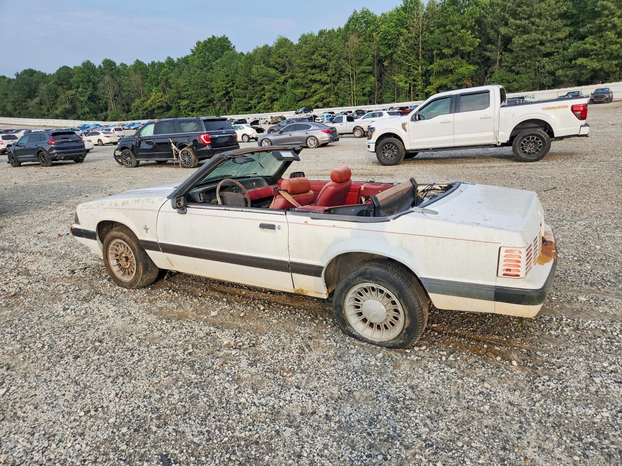 1991 Ford Mustang Lx White vin: 1FACP44M7MF170197