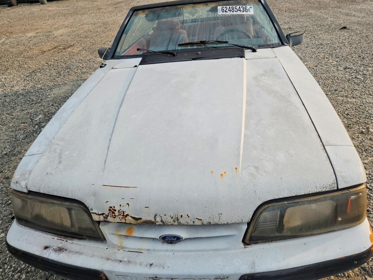 1991 Ford Mustang Lx White vin: 1FACP44M7MF170197
