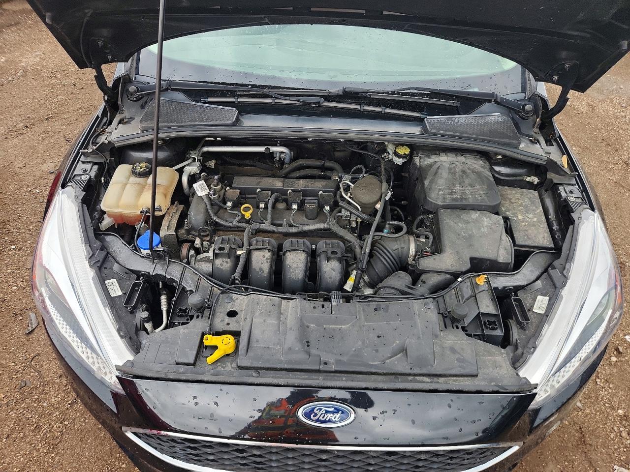 2015 Ford Focus Black vin: 1FADP3E20FL312325