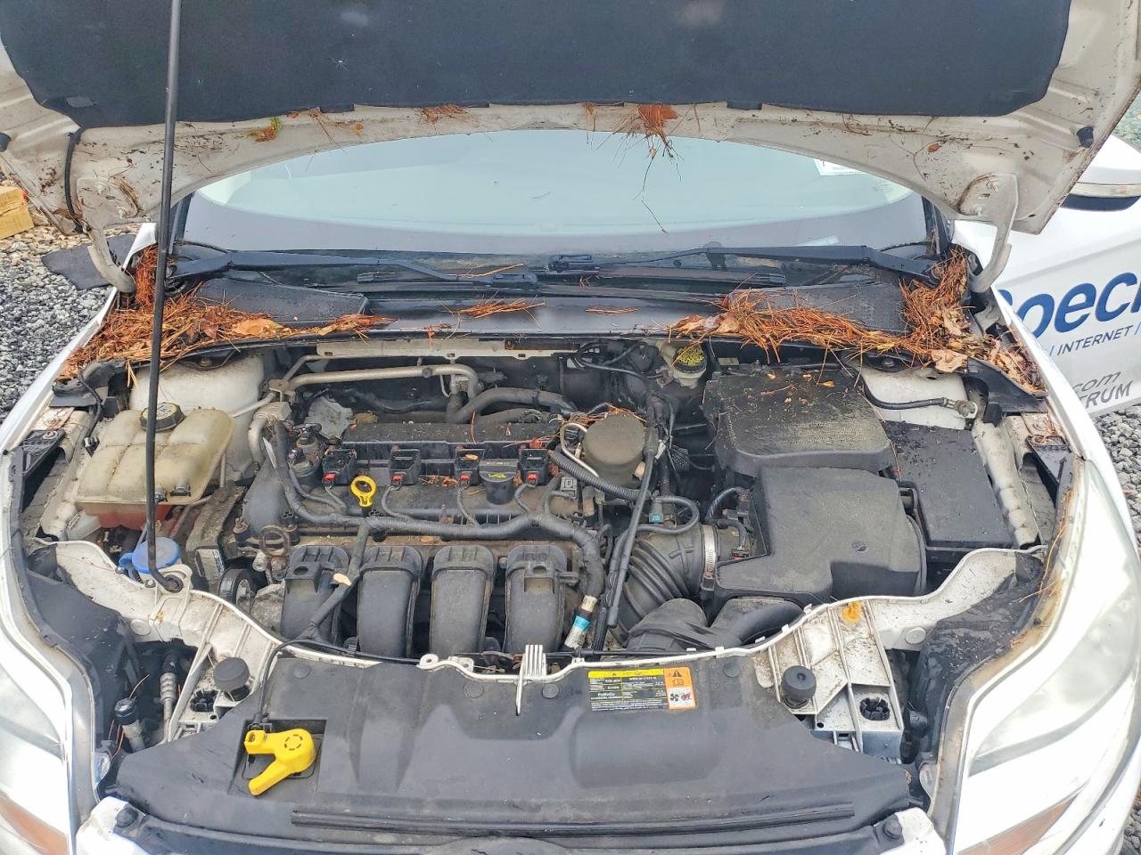 2013 Ford Focus Se White vin: 1FADP3F20DL198239