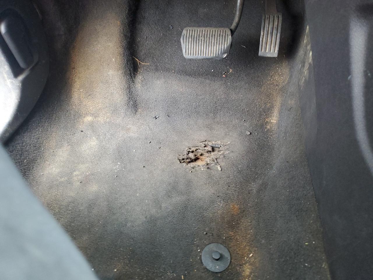2013 Ford Focus Se White vin: 1FADP3F20DL198239 Damage: Left Front Carpet, Worn, Replacement Required