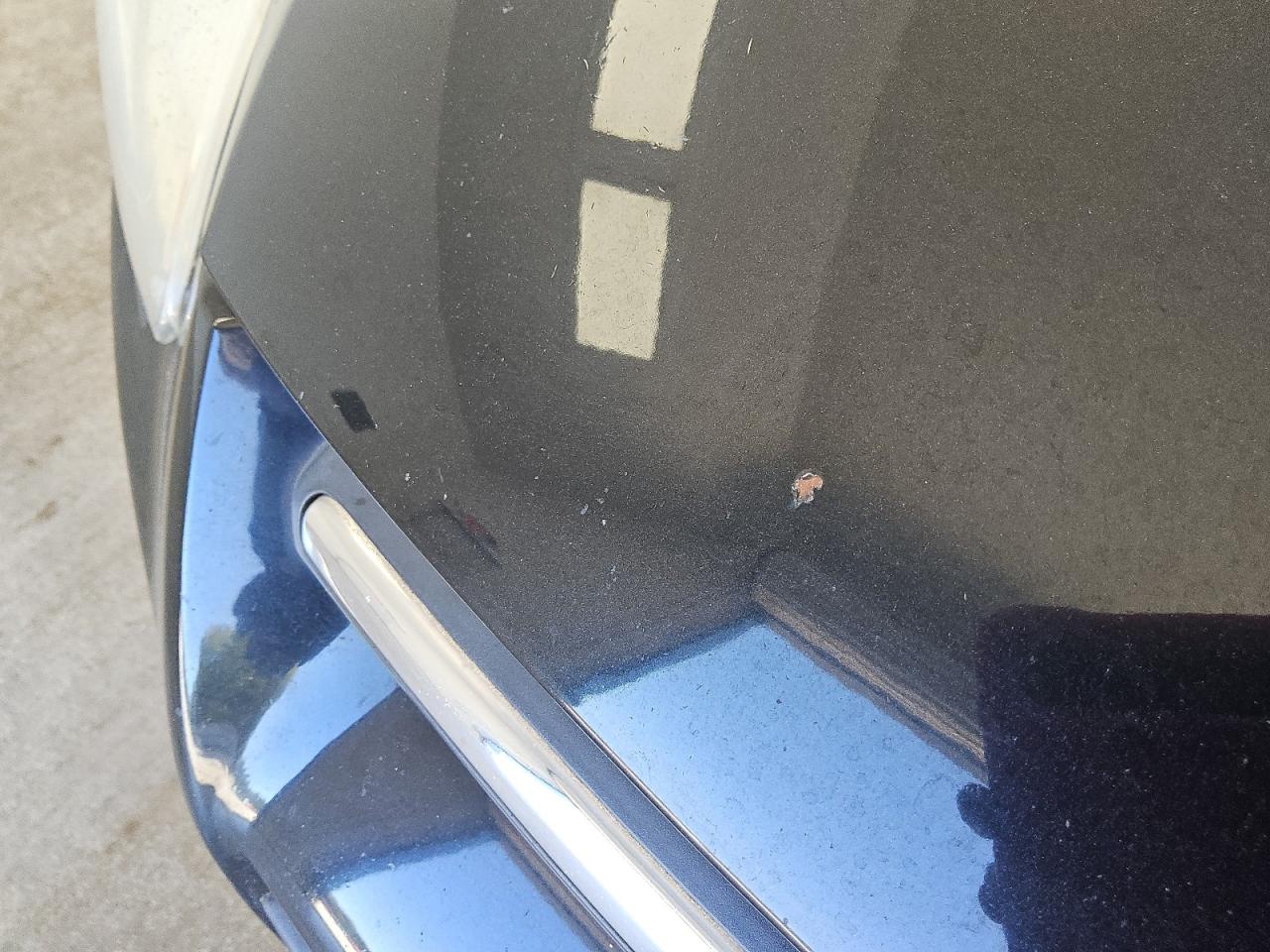 2013 Ford Focus Se Black vin: 1FADP3F20DL198631 Damage: Hood, Chipped, 10 Or More