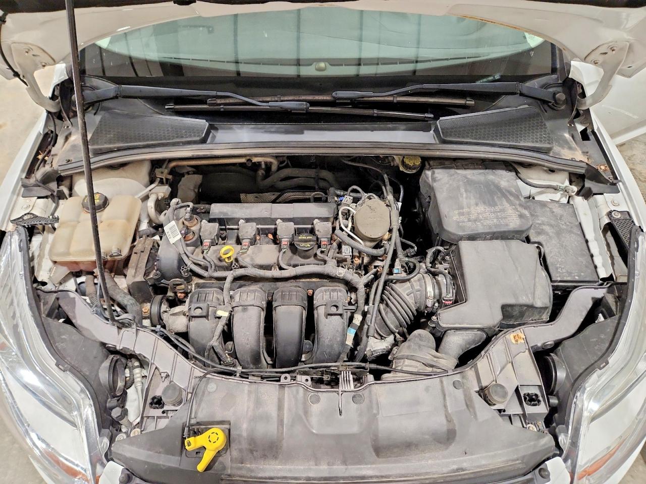 2014 Ford Focus Se Белый vin: 1FADP3F20EL119525