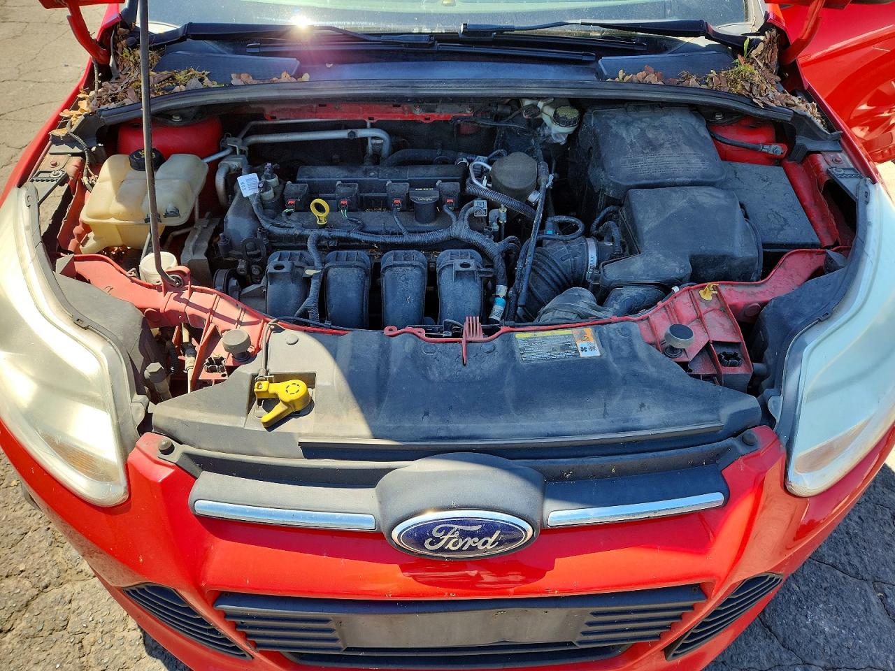 2014 Ford Focus Se Red vin: 1FADP3F20EL235596