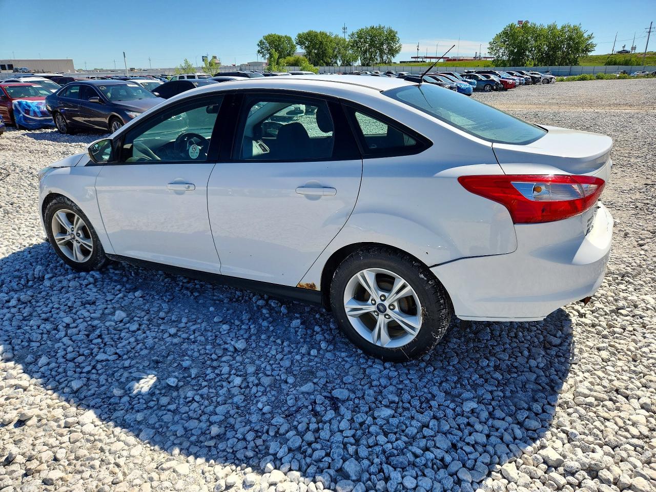 2014 Ford Focus Se White vin: 1FADP3F20EL432073