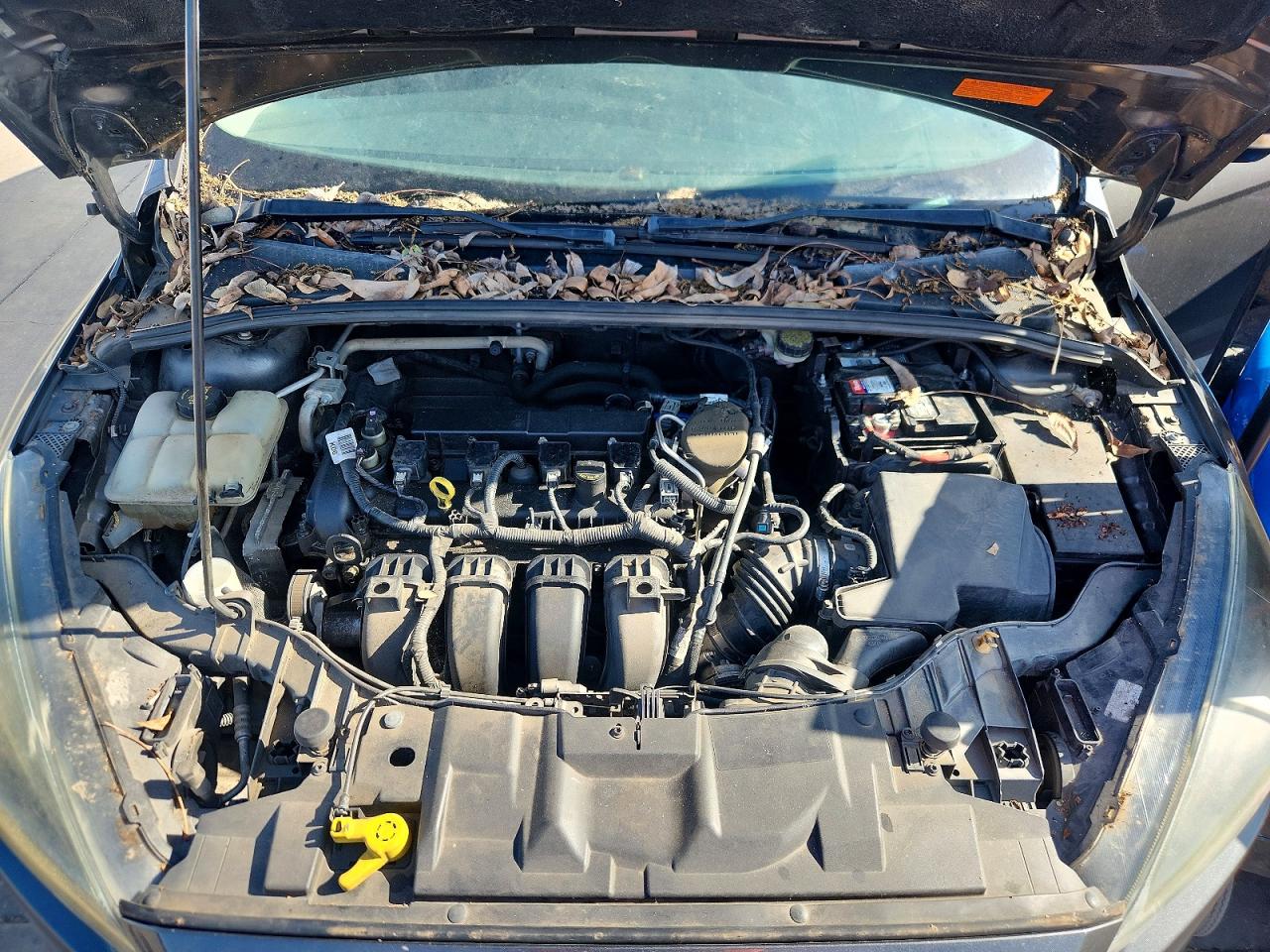 2015 Ford Focus Se Gray vin: 1FADP3F20FL227922