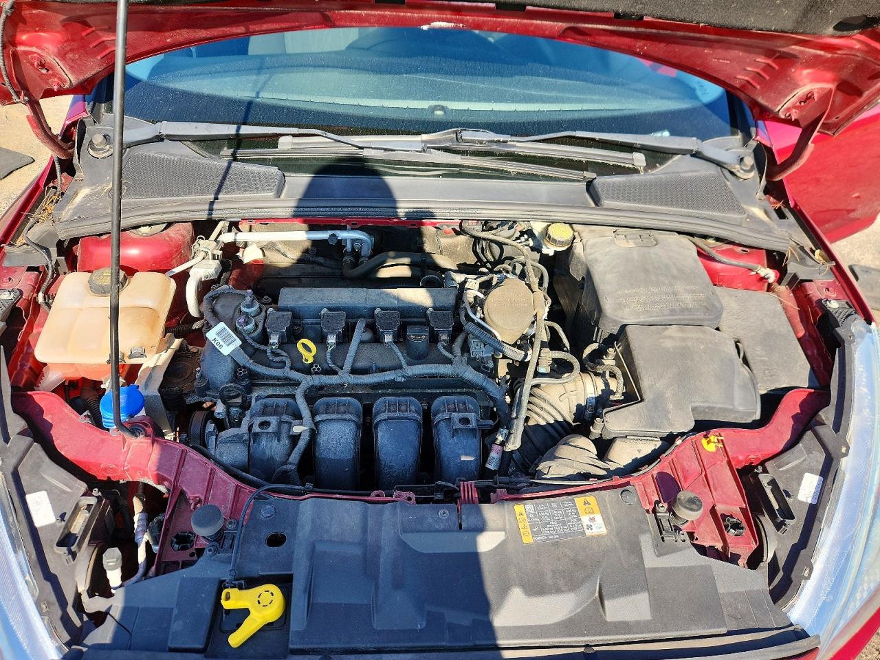 2015 Ford Focus Se Red vin: 1FADP3F20FL235163