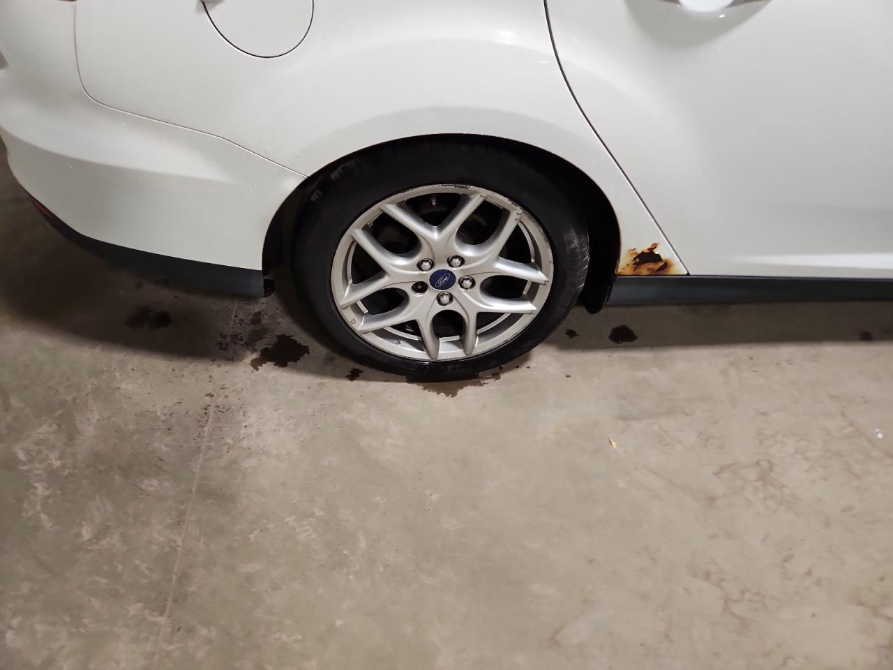 2015 Ford Focus Se White vin: 1FADP3F20FL245174 Damage: Right Rear Wheel, Curb Rash, > 12 Inches