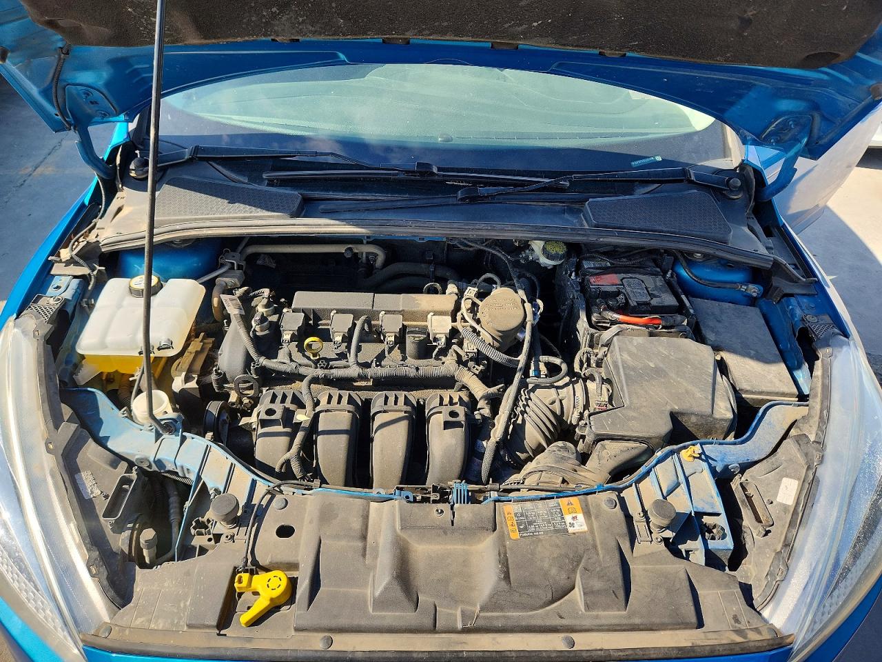 2016 Ford Focus Se Blue vin: 1FADP3F20GL281478