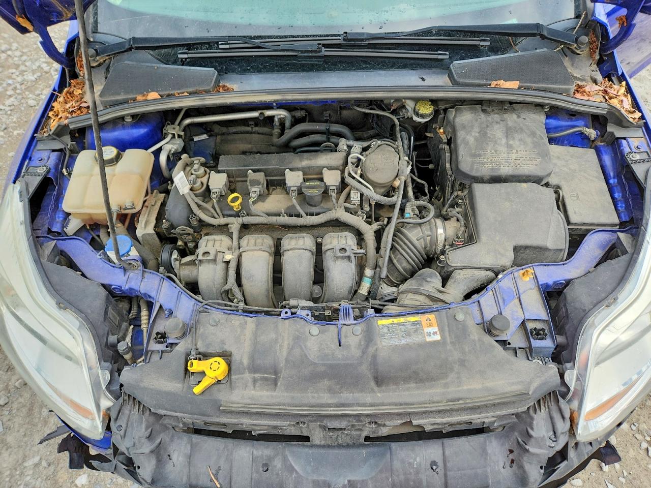 2013 Ford Focus Se Blue vin: 1FADP3F21DL107334
