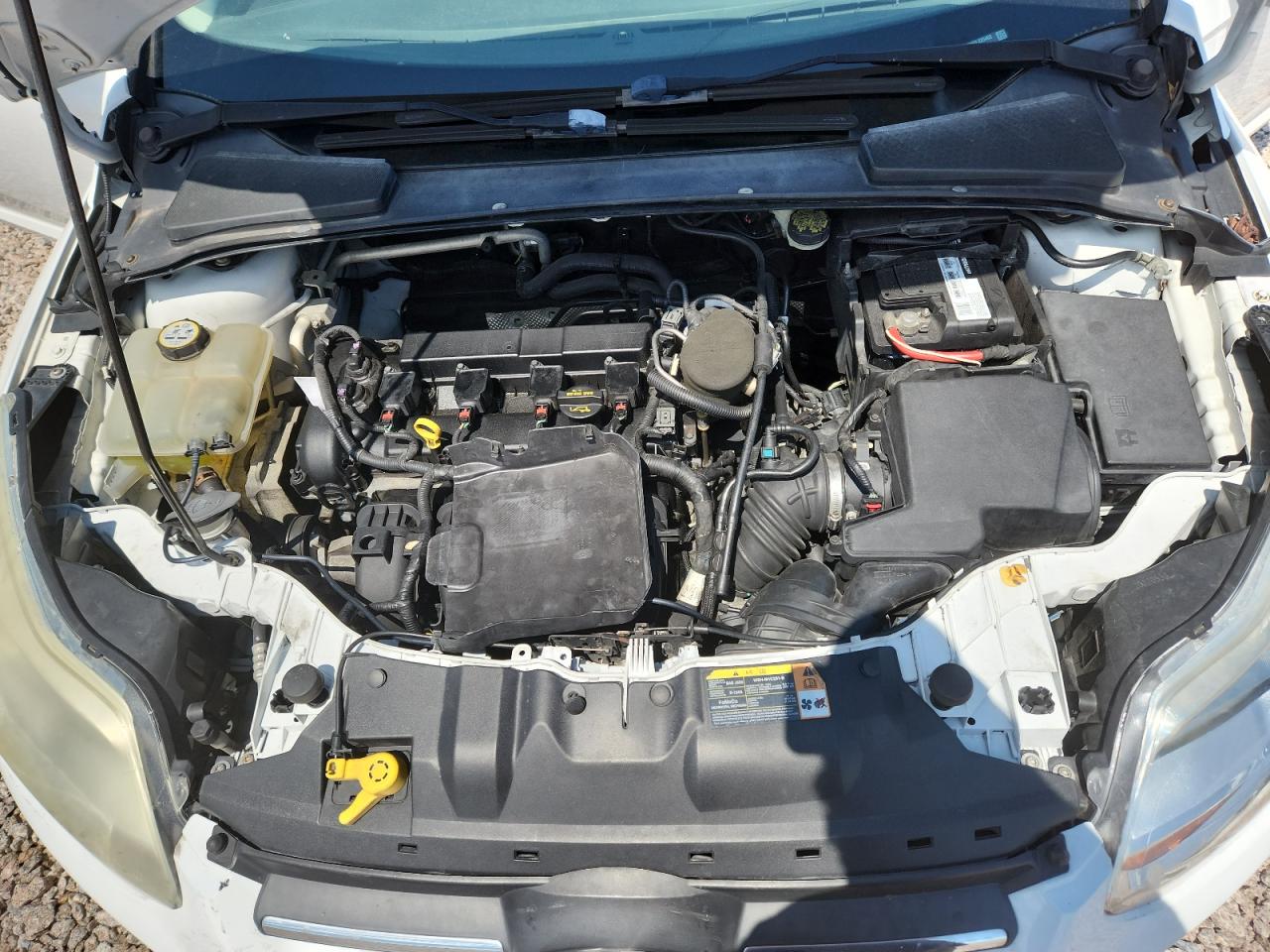 2013 Ford Focus Se Белый vin: 1FADP3F21DL225402
