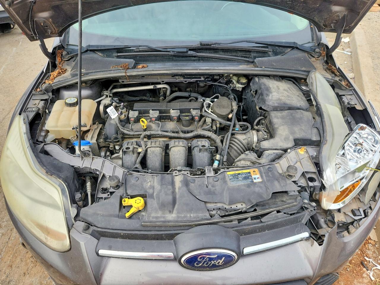2013 Ford Focus Se Gray vin: 1FADP3F21DL272218