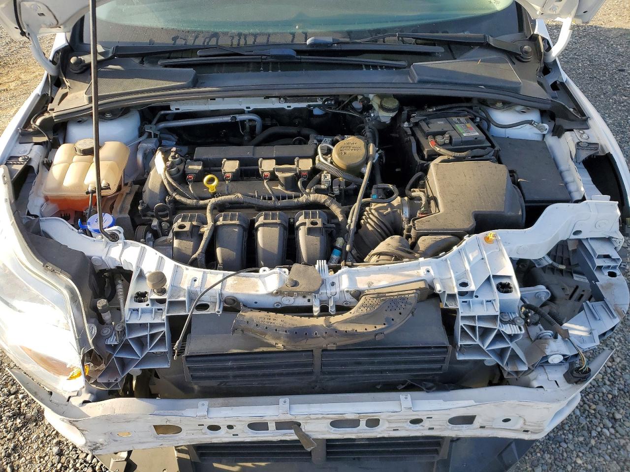 2013 Ford Focus Se Белый vin: 1FADP3F21DL296583