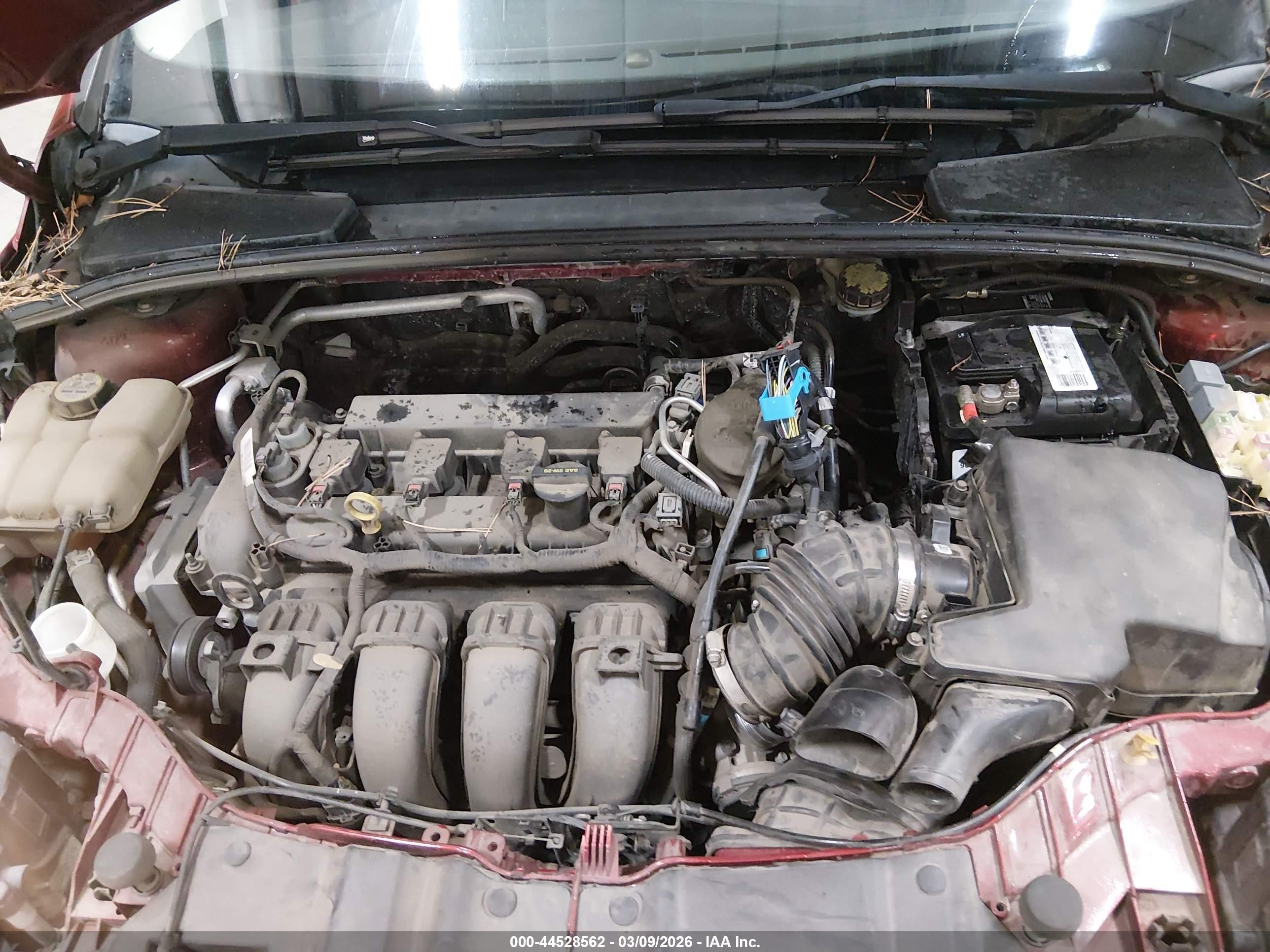2013 Ford Focus Se Красный vin: 1FADP3F21DL318680