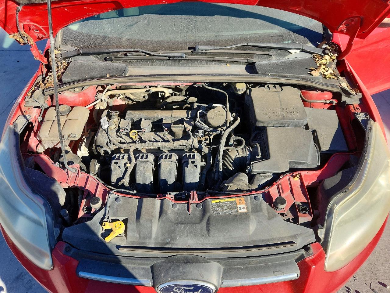 2014 Ford Focus Se Red vin: 1FADP3F21EL173691
