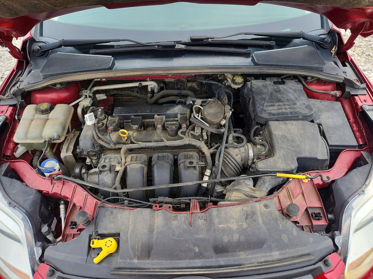 2014 Ford Focus Se Burgundy vin: 1FADP3F21EL281003