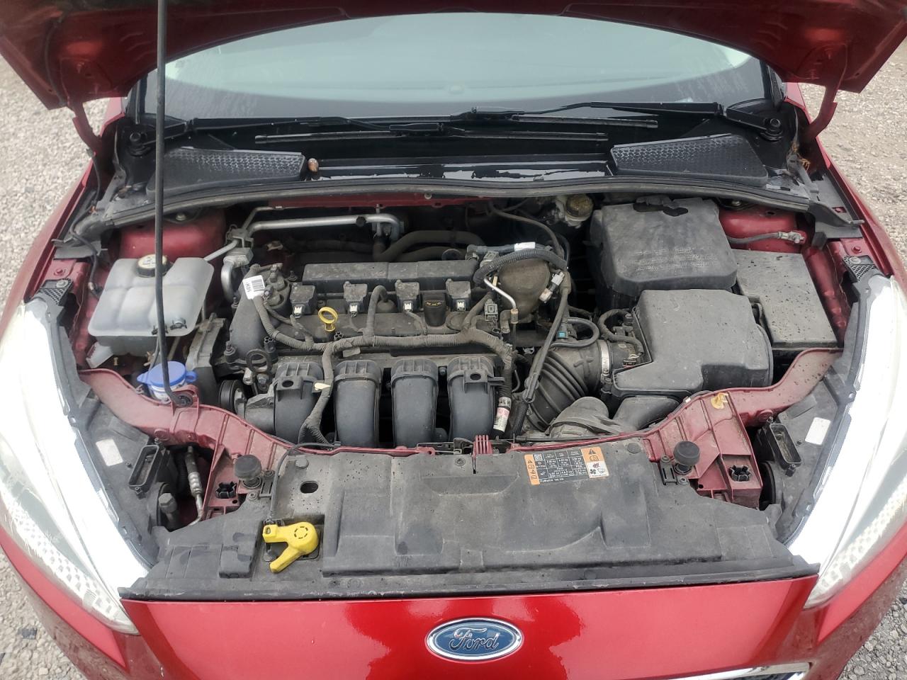 2015 Ford Focus Se Maroon vin: 1FADP3F21FL231235