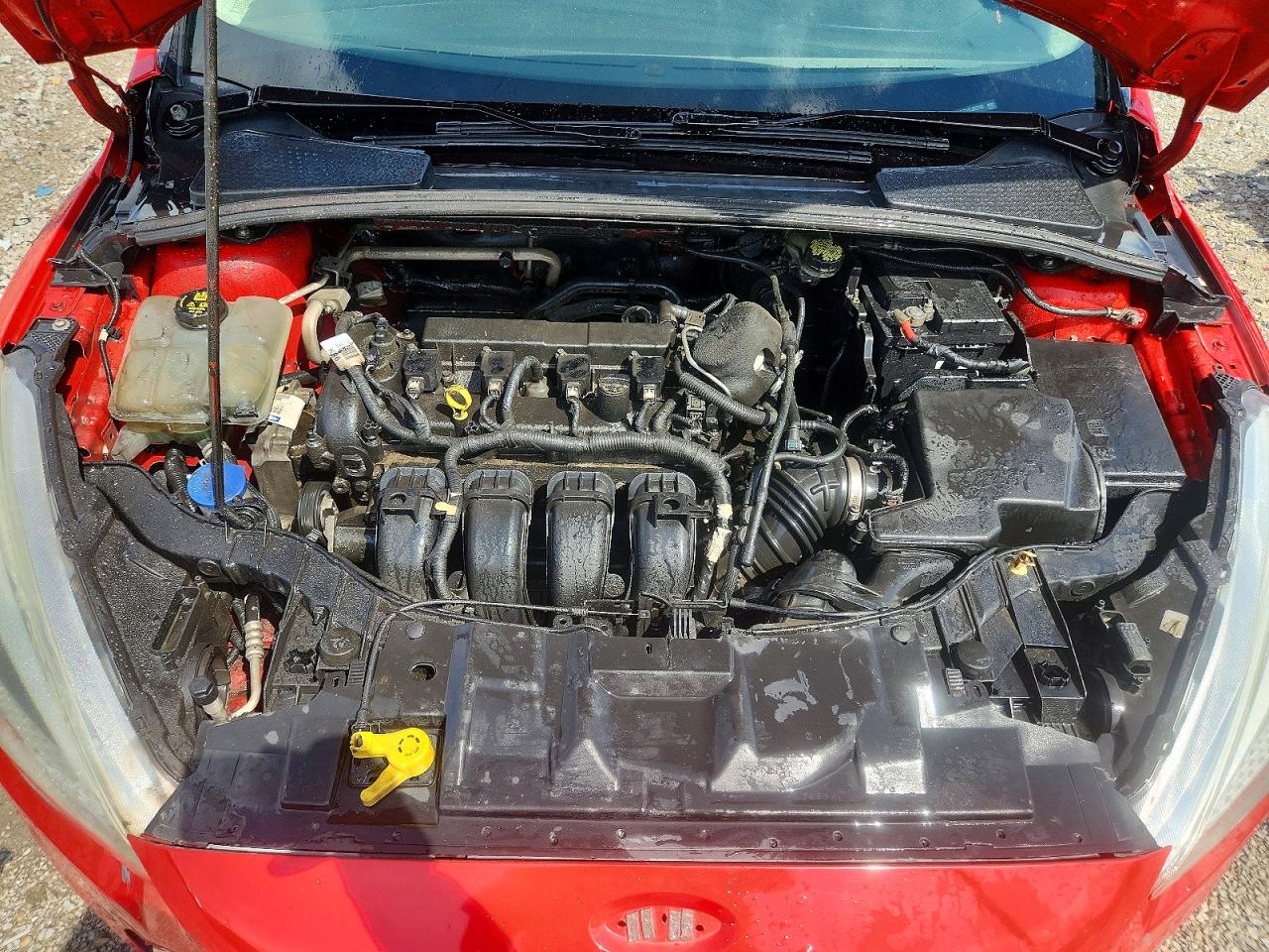 2015 Ford Focus Se Red vin: 1FADP3F21FL307780