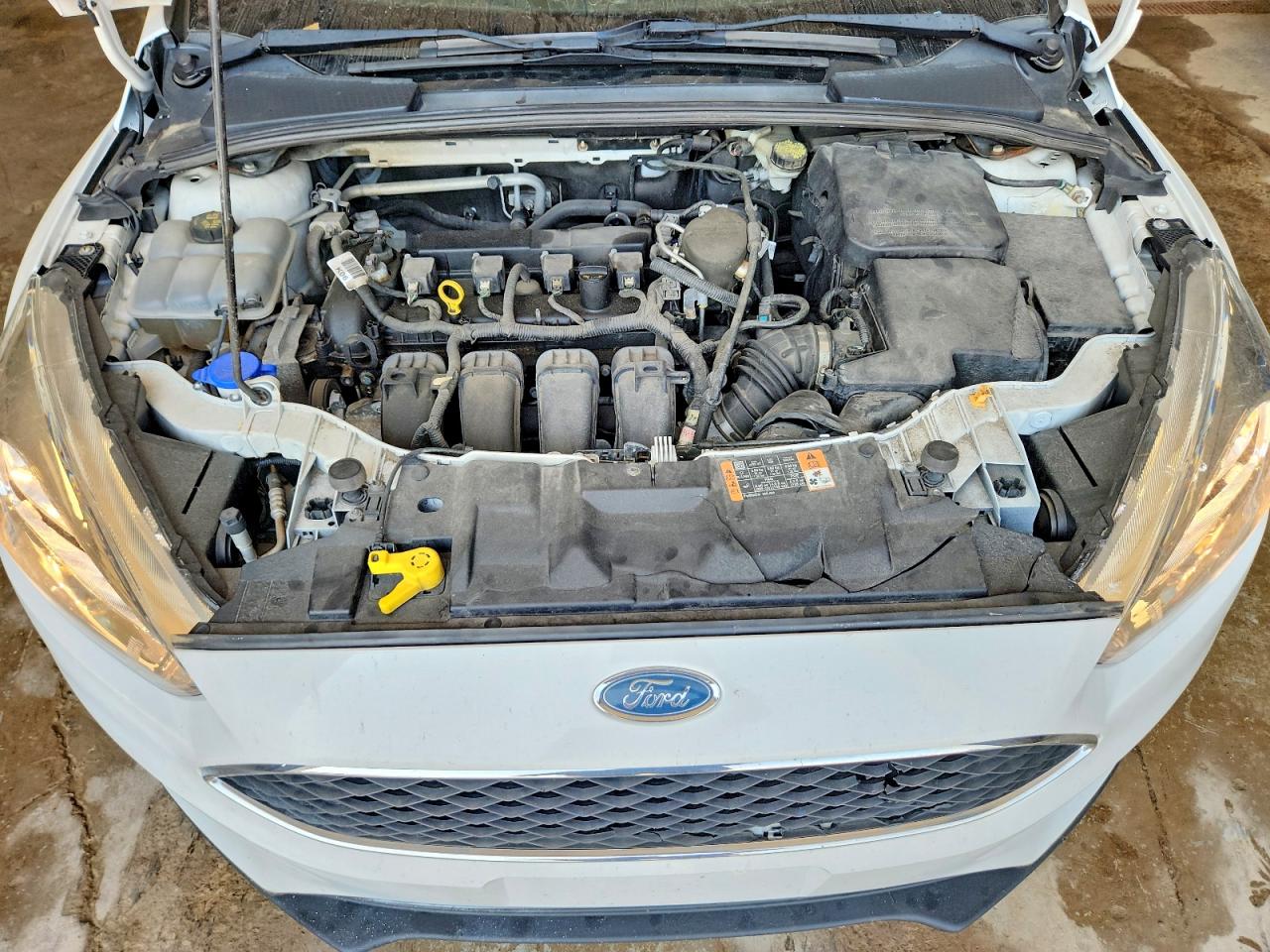 2015 Ford Focus Se White vin: 1FADP3F21FL328810