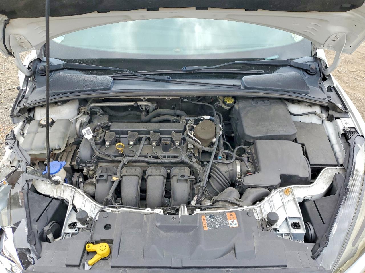 2015 Ford Focus Se Белый vin: 1FADP3F21FL335322