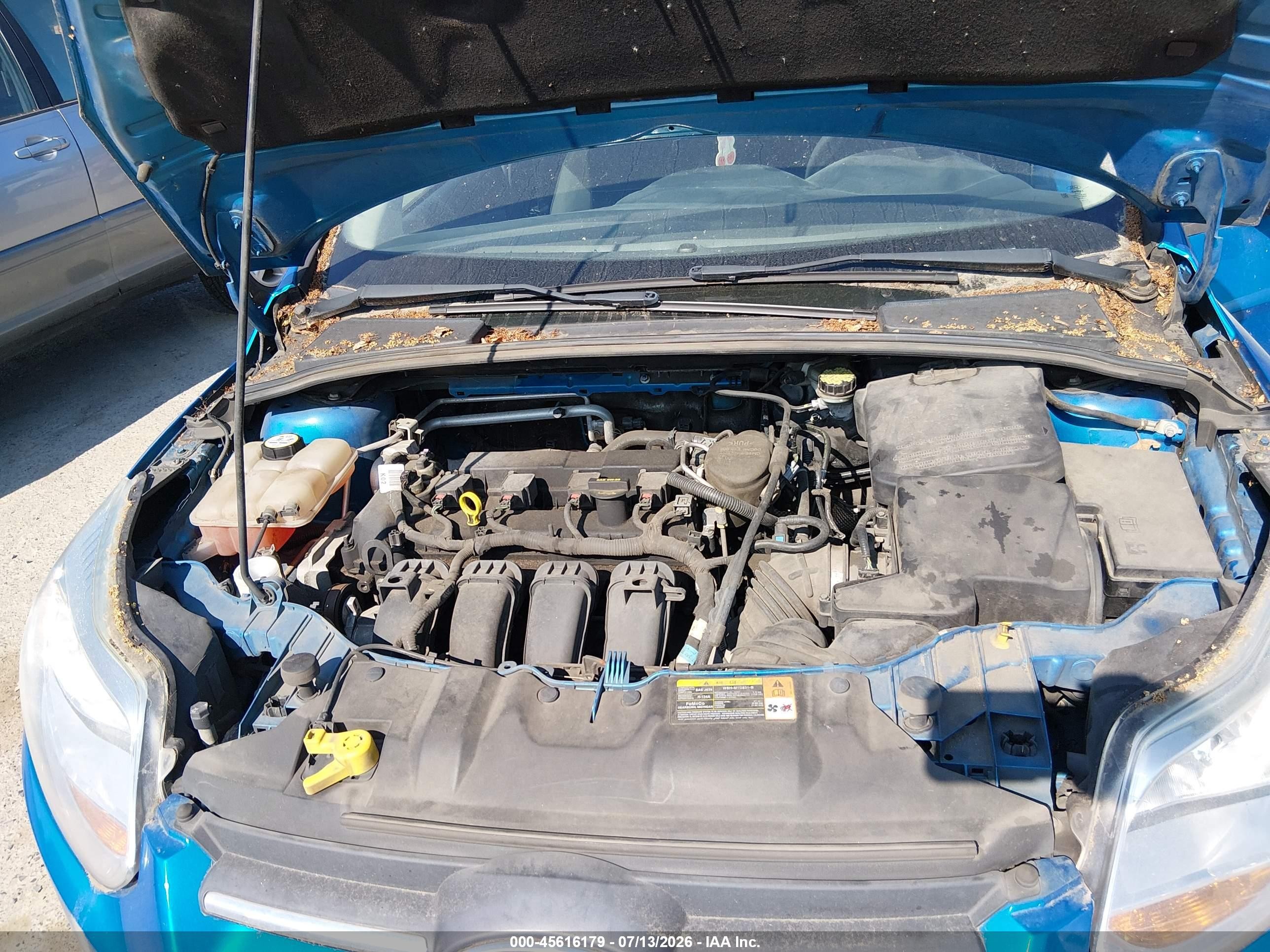 2013 Ford Focus Se Blue vin: 1FADP3F22DL184973
